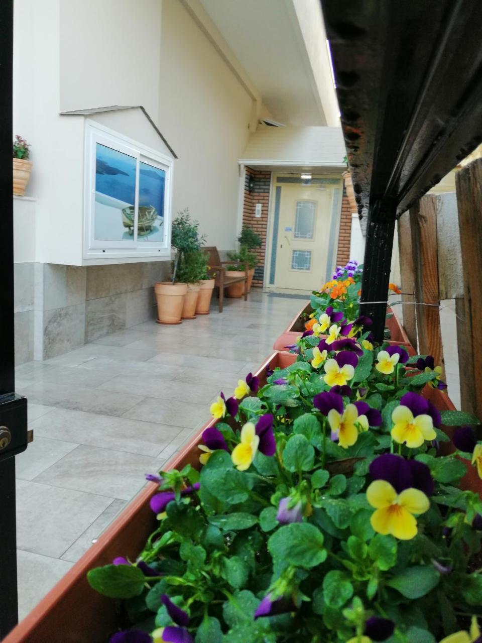 Giorgos Apartments Sea View Olympiakí Aktí Dış mekan fotoğraf