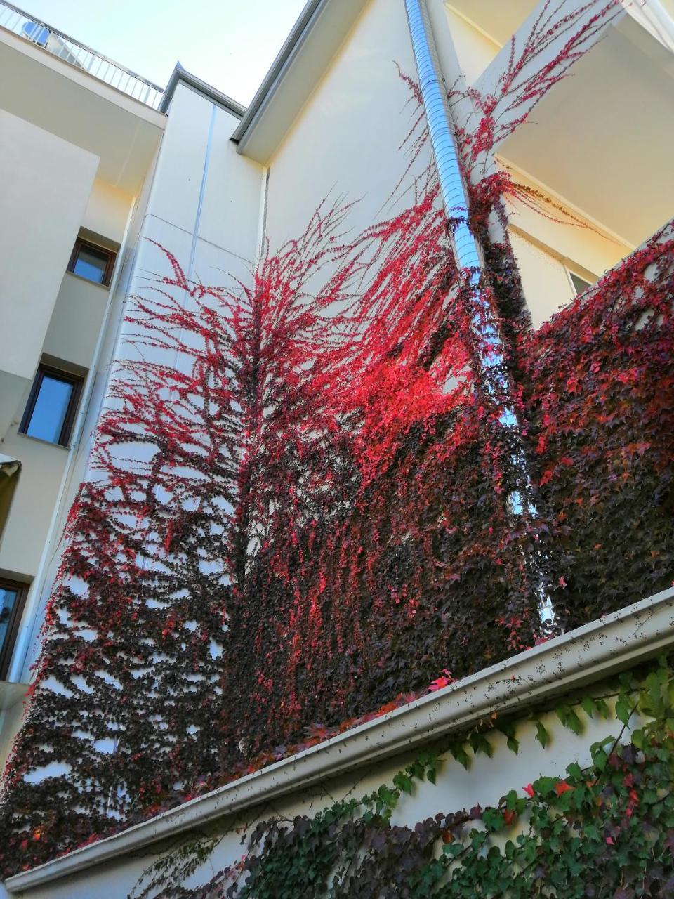 Giorgos Apartments Sea View Olympiakí Aktí Dış mekan fotoğraf
